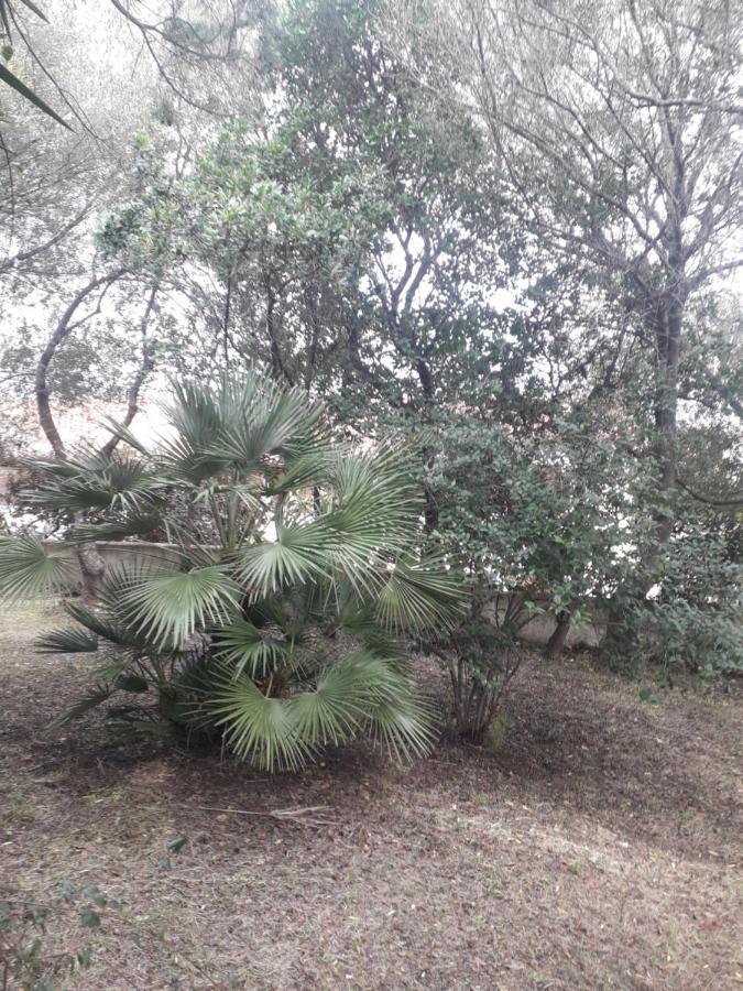 אולביה B&B Nuraghes מראה חיצוני תמונה