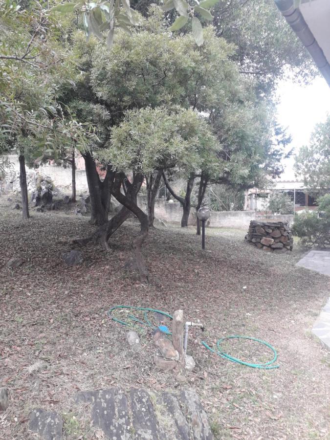 אולביה B&B Nuraghes מראה חיצוני תמונה